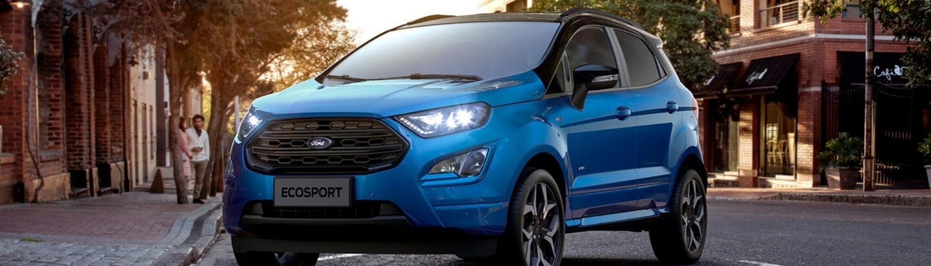 Ford EcoSport - Dual control